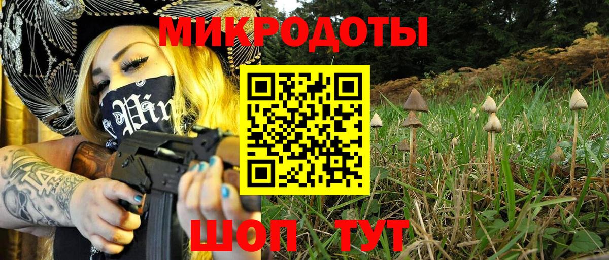 Можайск  Галлюциногенные грибы Cubensis  Галлюциногенные грибы мухоморы  Вход с VPN 